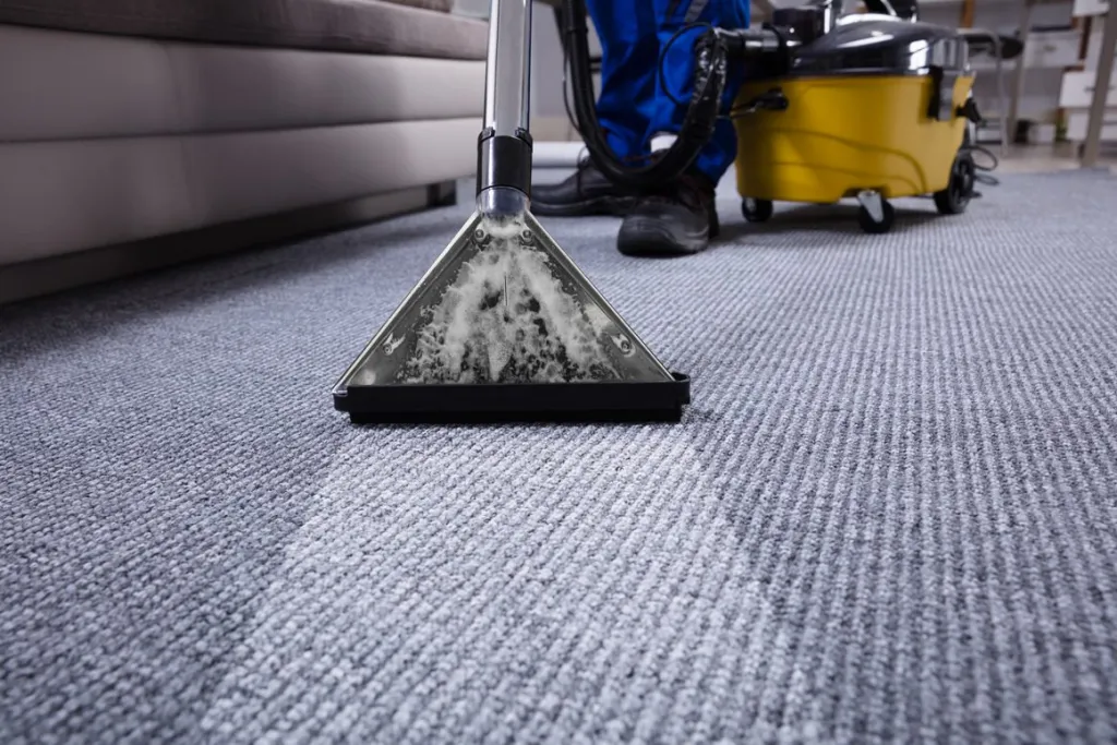 Revitalize Your Home with DallasProList: Expert Carpet Cleaning and Home Renewal Services