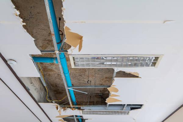 Innovative Techniques in Modern Water Damage Restoration