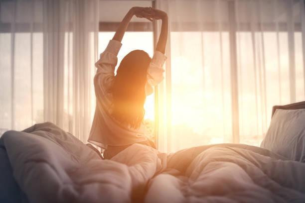 Wellness Rewired How to Reset Your Body Brain and Boundaries